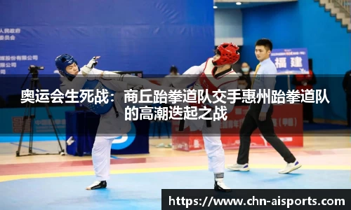 奥运会生死战：商丘跆拳道队交手惠州跆拳道队的高潮迭起之战